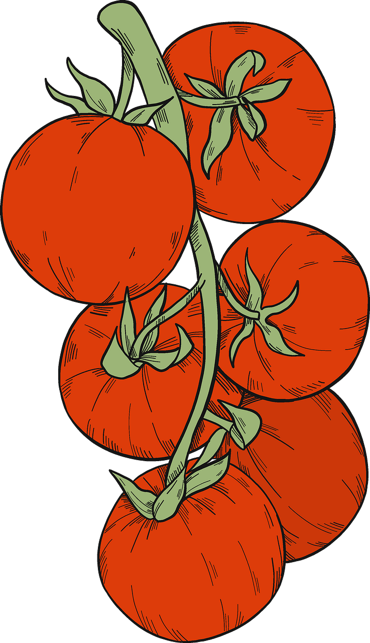 Pomodori