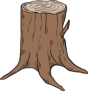 Tree stump