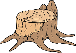 樹樁