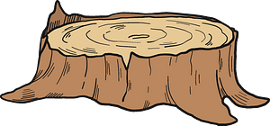 Tronco d'albero