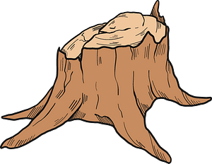 Tree stump