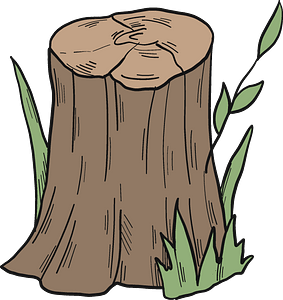 Tree stump