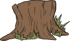 Tree stump