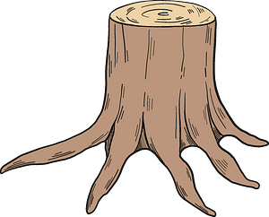 Tree stump