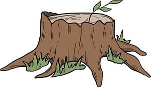 Tree stump