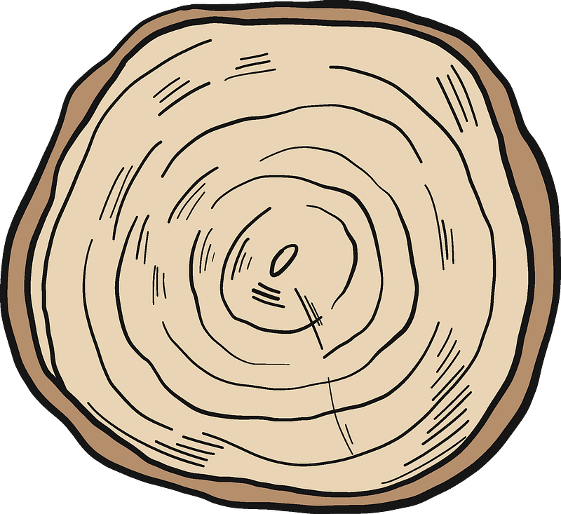 Tree trunk