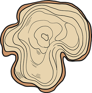 Tree trunk