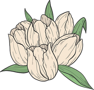 White tulips