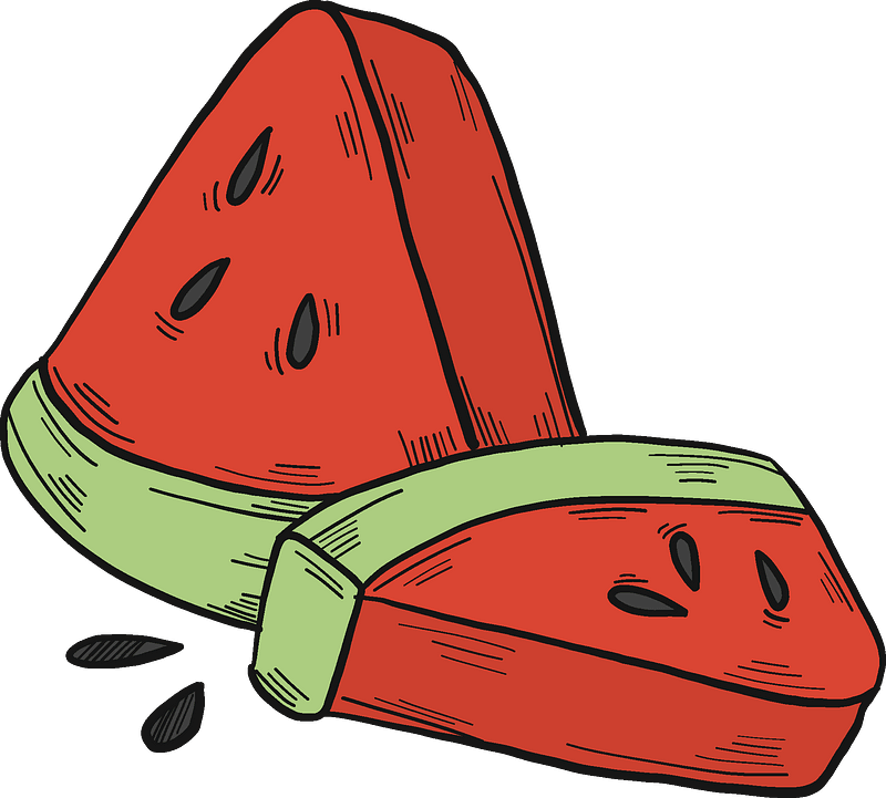 Slices of watermelon