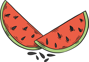 Slices of watermelon