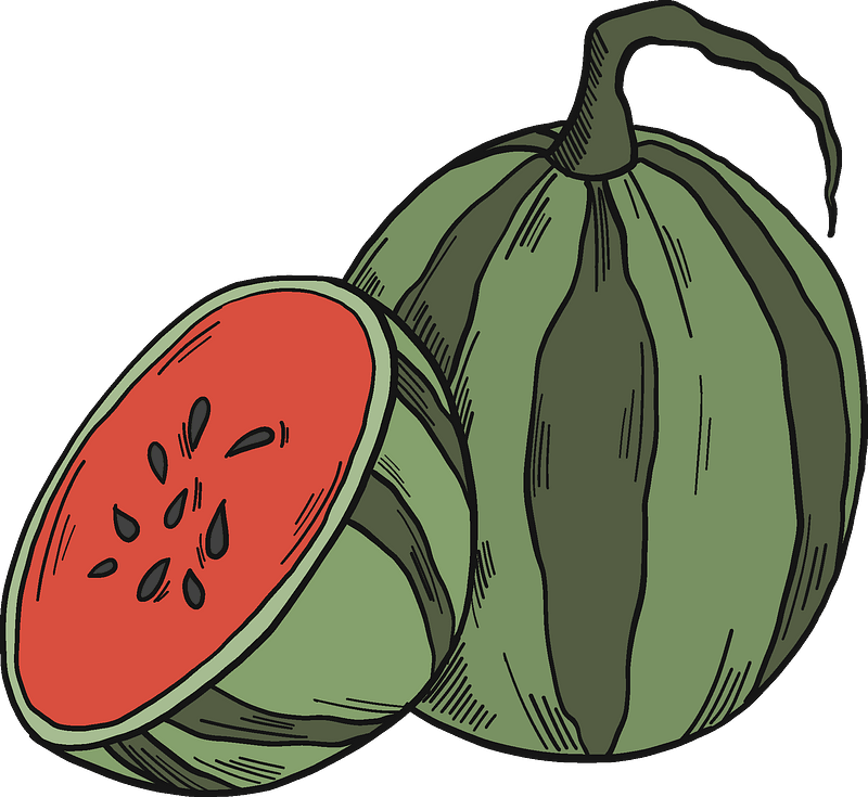 Watermelon and half