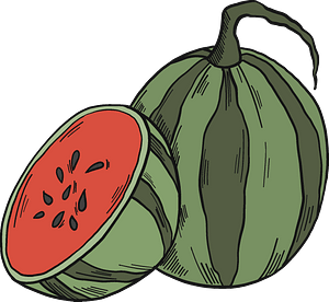 Watermelon and half