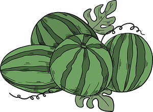 Watermelons
