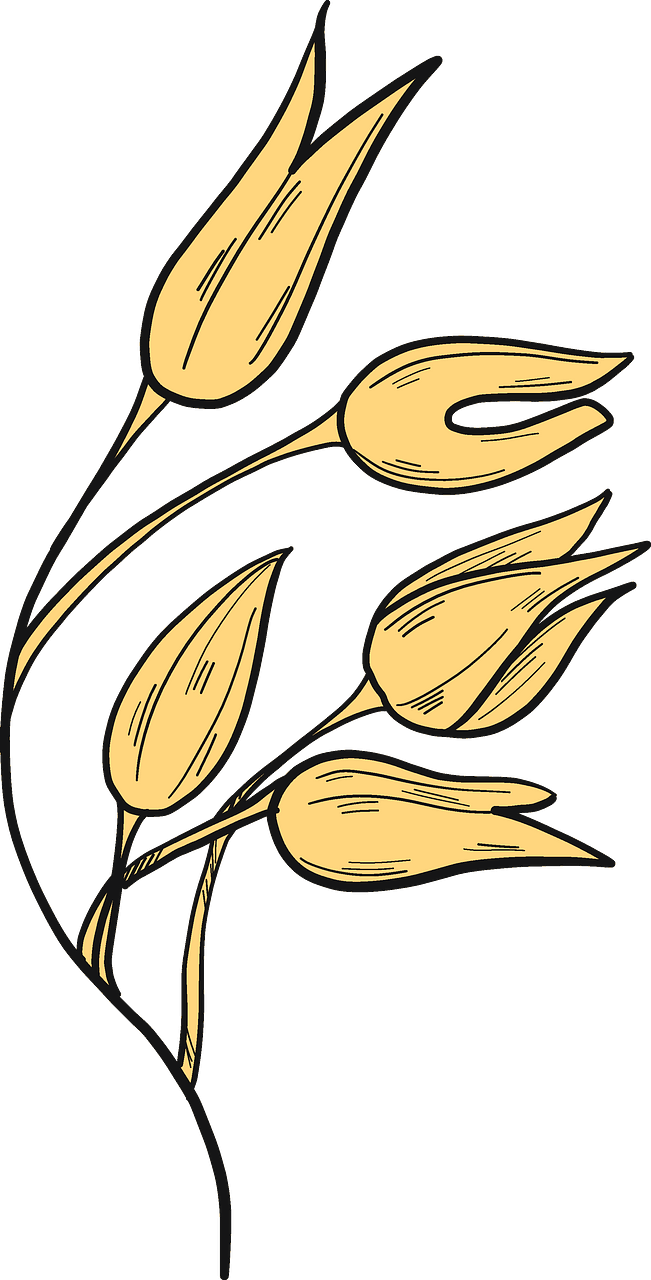 小麦