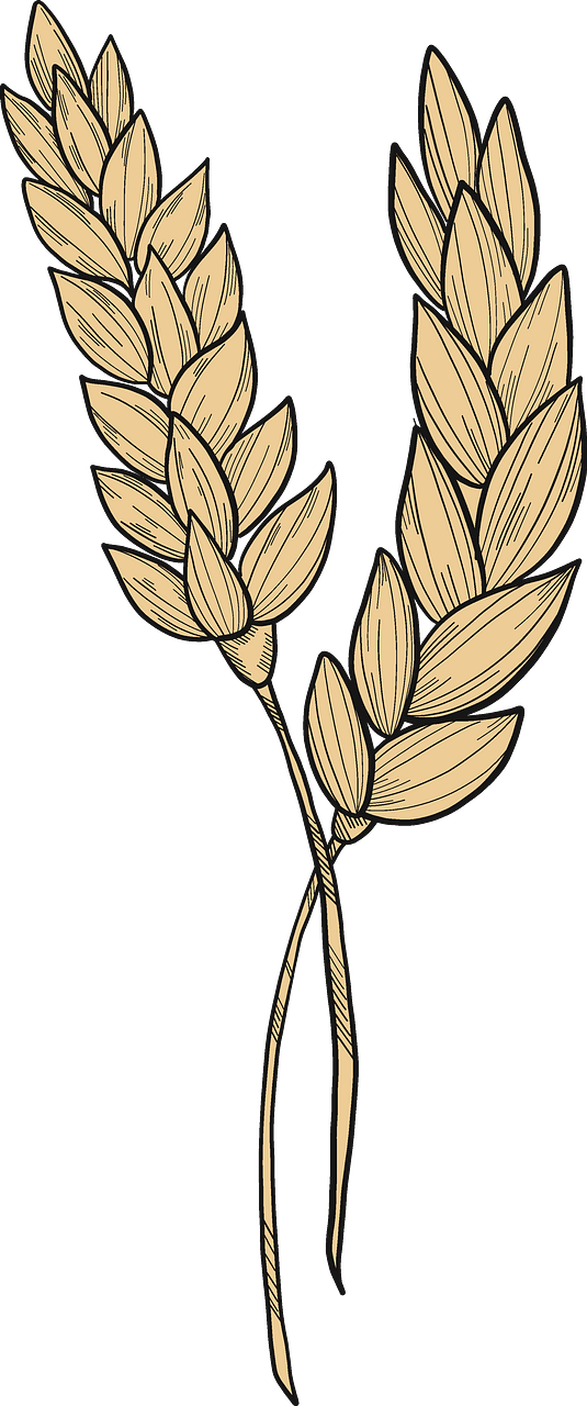 밀