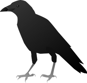 Crow