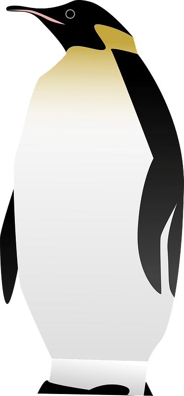 企鹅