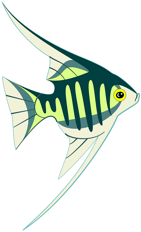 Green Striped Fish