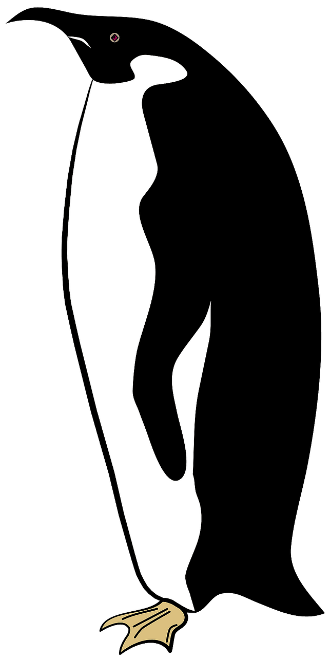 Penguin