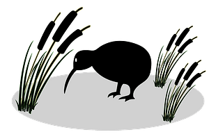 Kiwi and reed