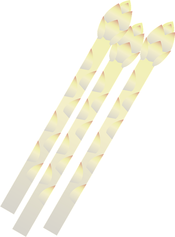 White Asparagus Stalks