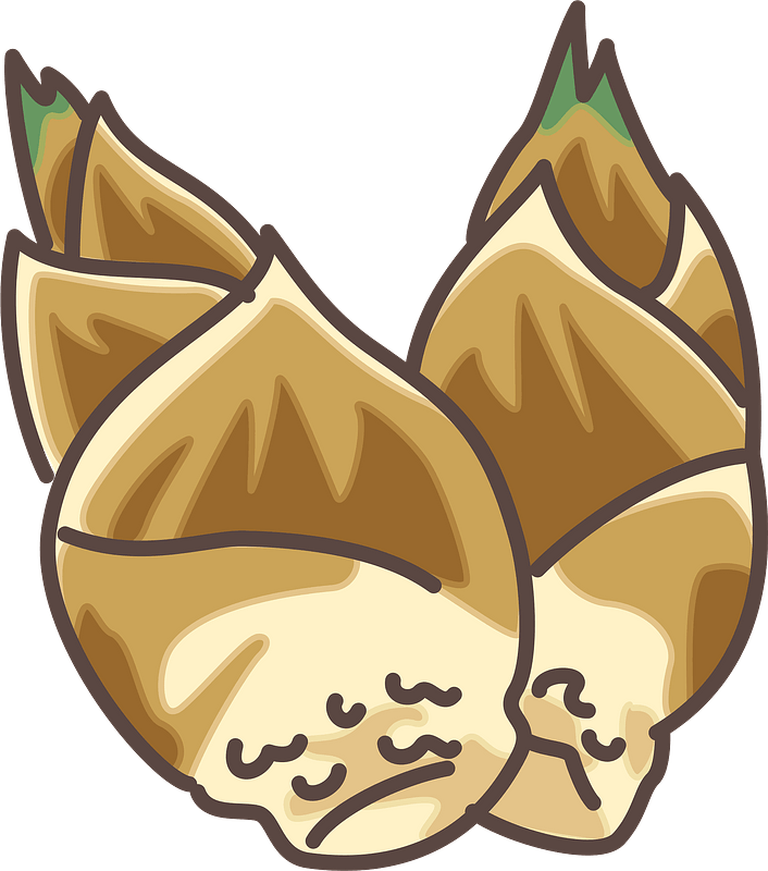 Bamboo shoot