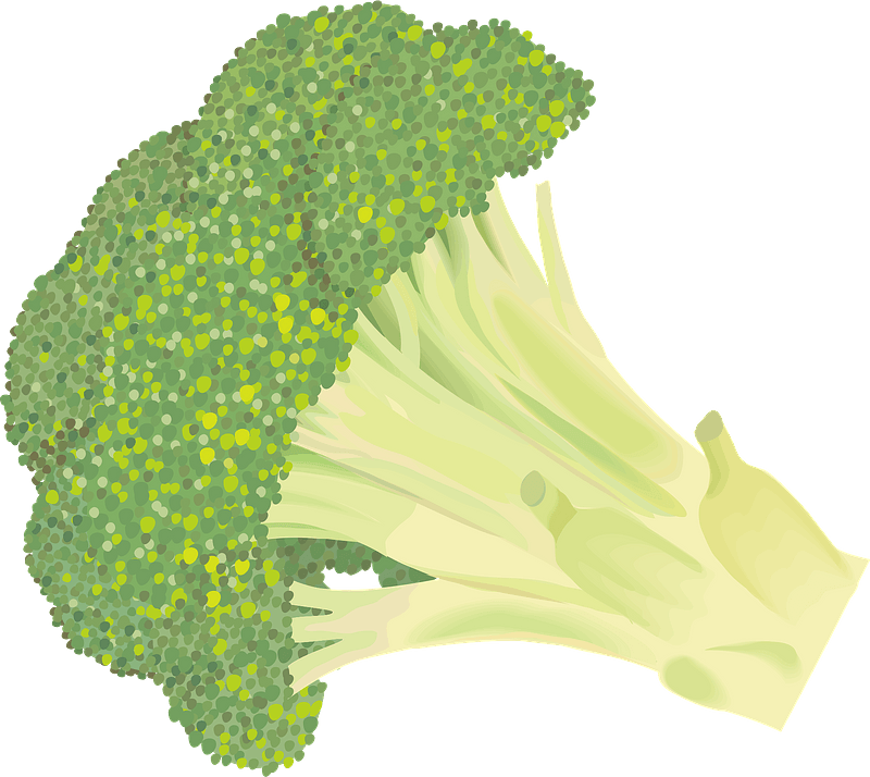 Broccoli
