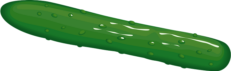 Cucumber