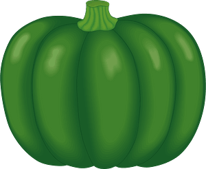 Kabocha Squash