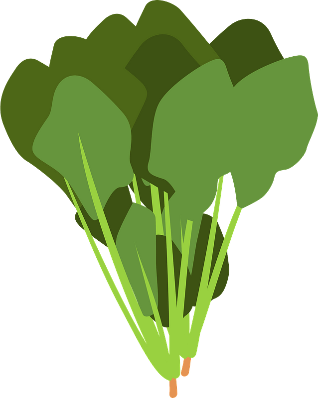 Spinach leaves