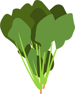 Spinach leaves