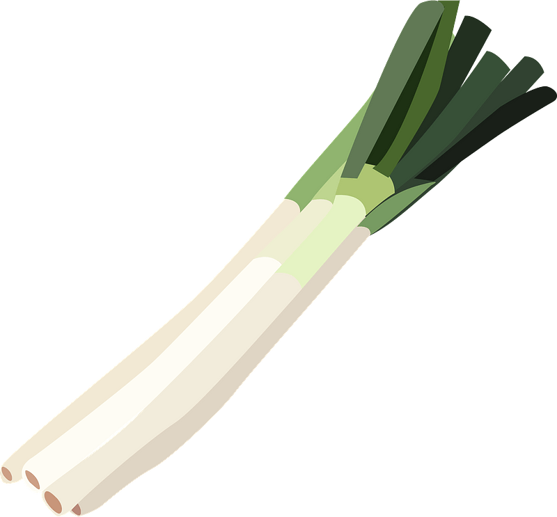 Bunch of Japanese onions