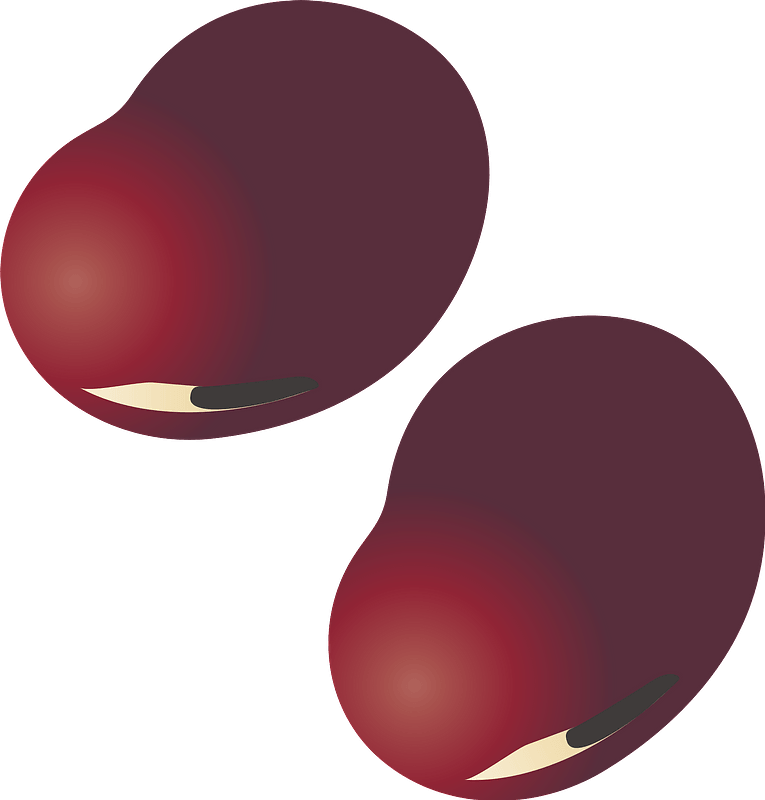 Adzuki bean