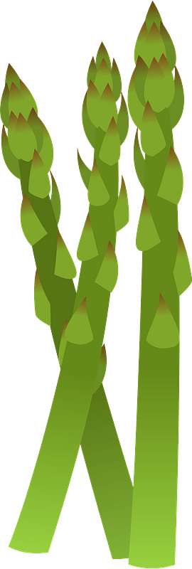 Asparagus Stalks