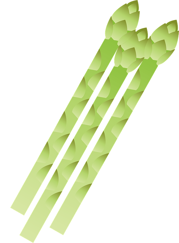 Asparagus vegetable