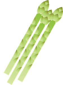 Asparagus vegetable