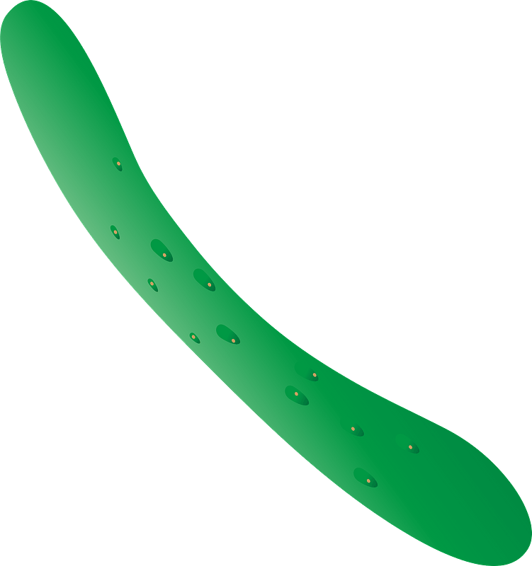 Cucumber