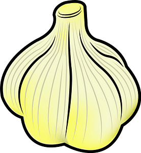 Garlic Bulb