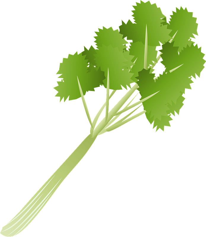 Japanese honewort