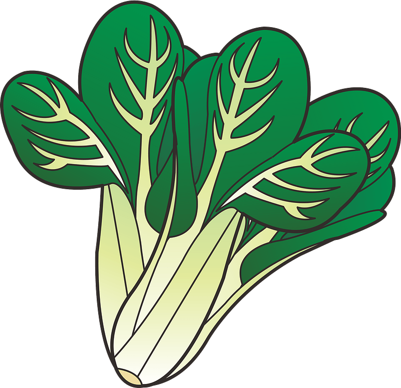 Komatsuna - leafy greens