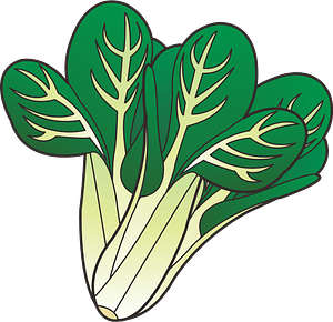 Komatsuna - leafy greens
