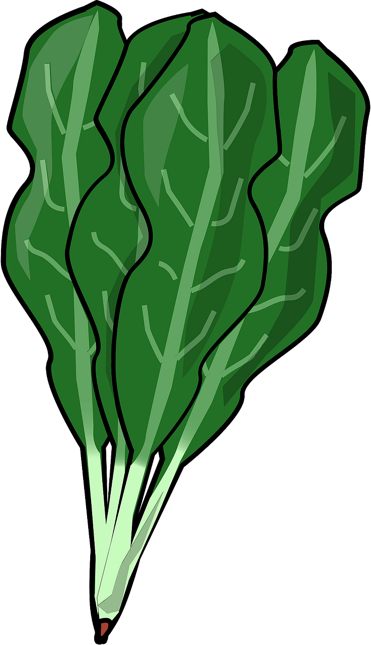 Spinach leaves