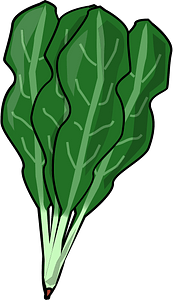 Spinach leaves