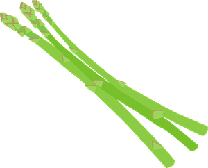 Asparagus Stalks