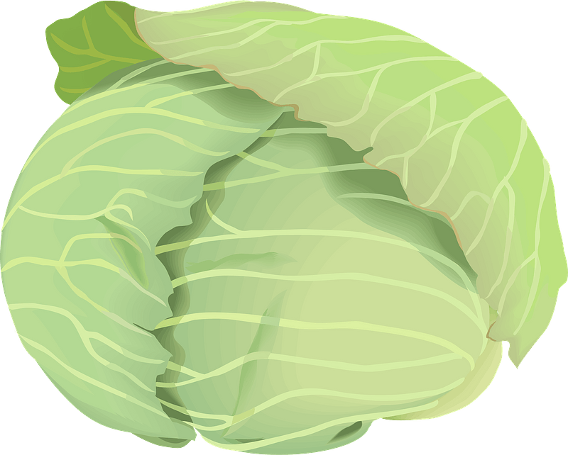 Cabbage