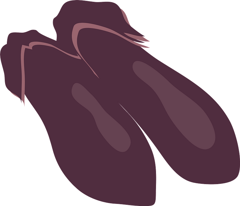 Eggplant