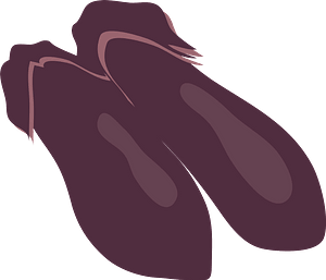 Eggplant