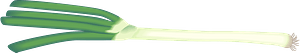 Japanese bunching onion