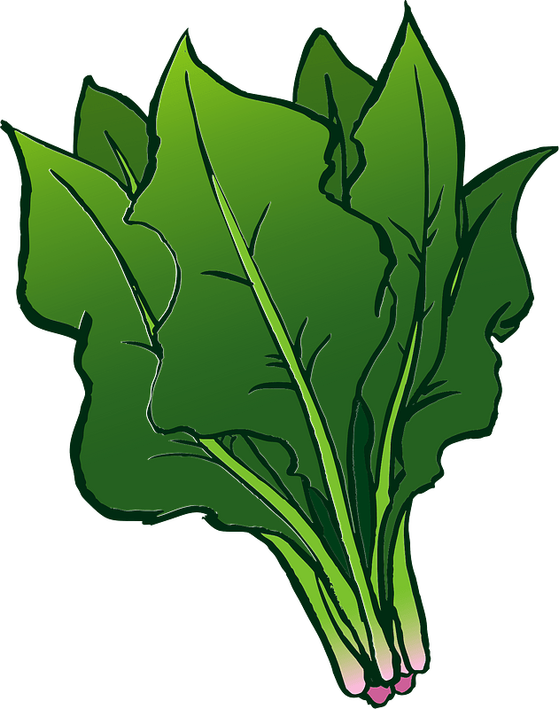 Spinach leaves