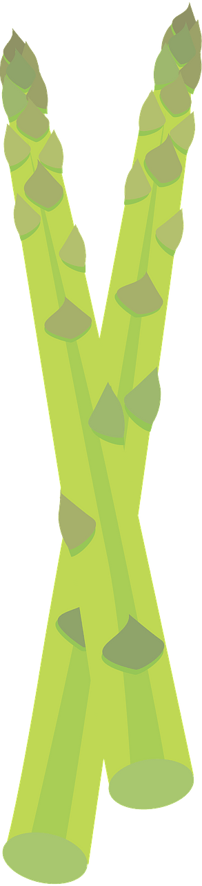 Asparagus Stalks